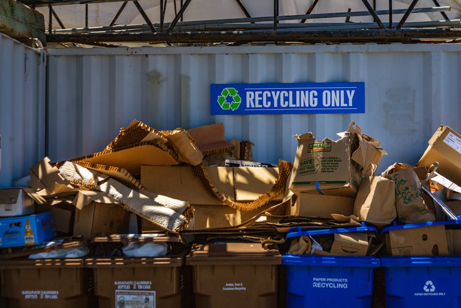 A large collection of cardboard boxes and paper packaging materials piled on top of blue and brown recycling bins in an outdoor industrial or warehouse area. The cardboard varies in size, some flattened and others still partially assembled, with corrugated textures visible and in shades of brown, tan, and beige. The boxes include some U-Haul branded packaging and other generic types, with torn edges and creases. Behind the pile, a white wall or container wall displays a prominently mounted blue sign reading 'RECYCLING ONLY' in white text, with a green recycling symbol beside it. Above the wall, a metallic framework or scaffolding structure is visible, casting shadows in the sunlight. The scene is lit by natural daylight, creating highlights and shadows that emphasize the textures of the cardboard and the metallic surfaces. This setup illustrates an outdoor waste management area focused on the collection of recyclable paper products, a service often managed by companies like Rubbish Clearance Kennington, supporting alternative waste handling and private disposal methods.